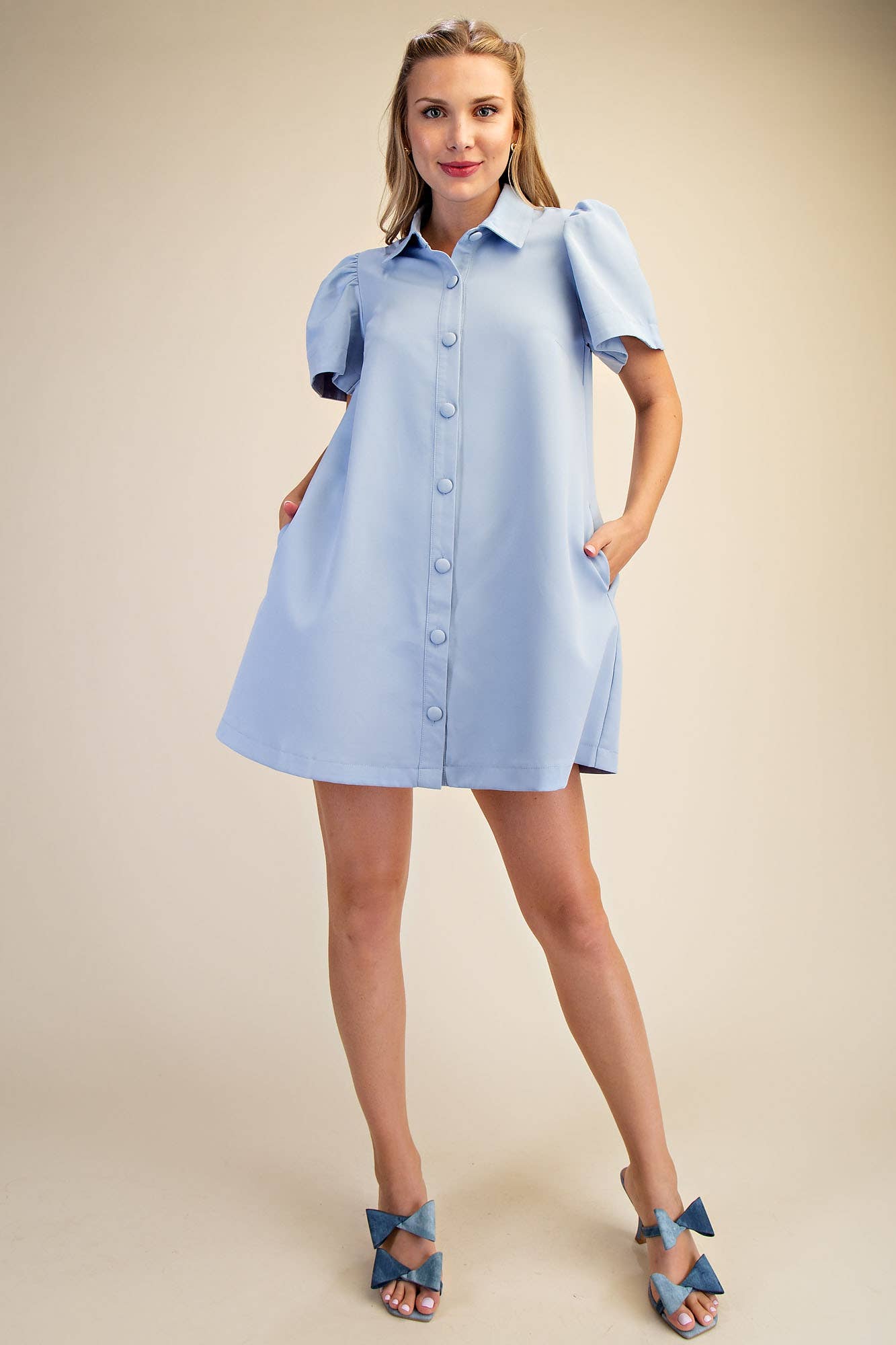 Asher Collar Neck Button Down Mini Dress - Blue