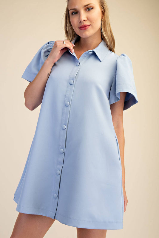 Asher Collar Neck Button Down Mini Dress - Blue