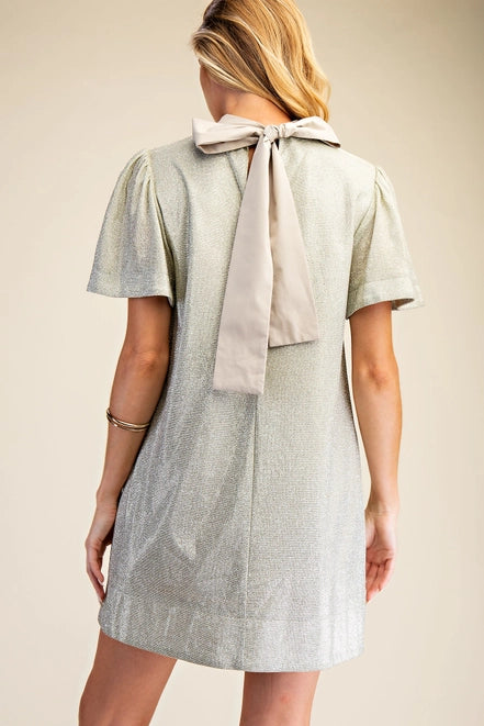 Erica Mock Neck Back Tie Mini Dress - Champagne